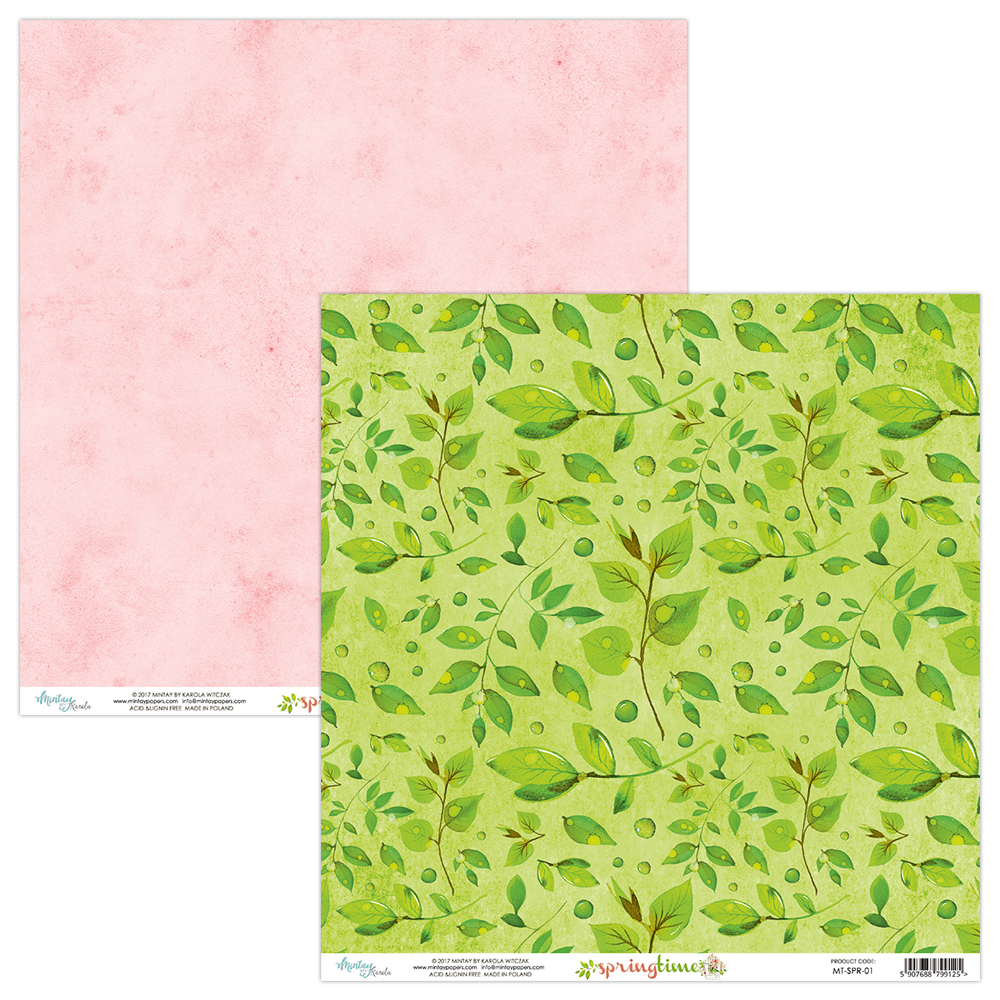 Papier ozdobny scrapbooking MINTAY SPRINGTIME 01
