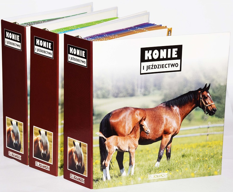 KONIE I JEŻDZIECTWO komplet Deagostini Atlas