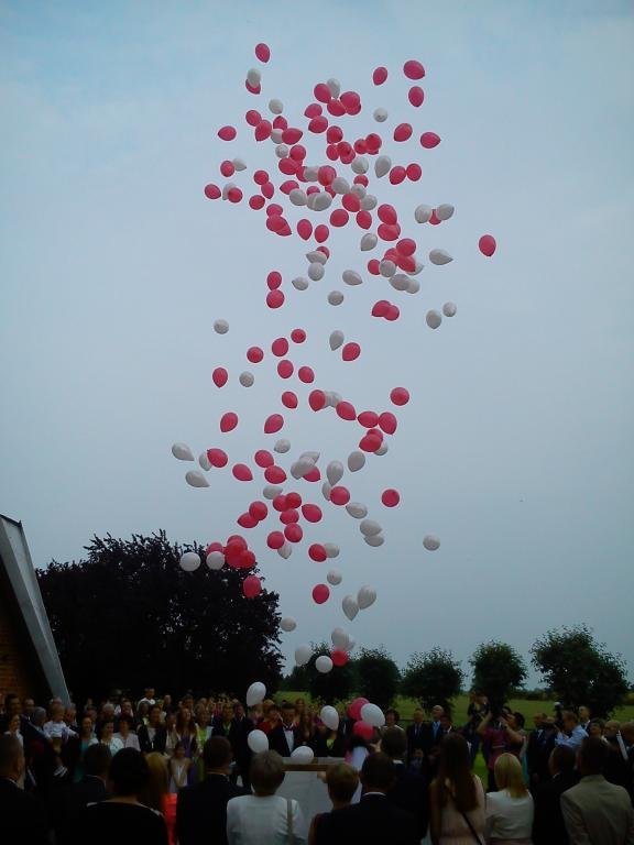 Prezent pudło z balonami konin  balony z helem led