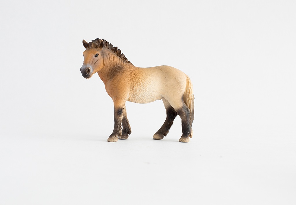 Figurka Schleich - koń przewalskiego