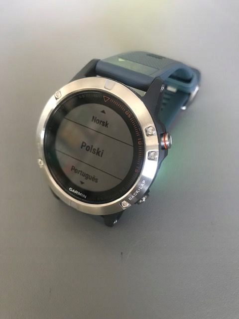 fenix 5 silver bezel