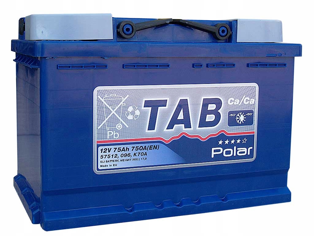 Аккумулятор tab polar 65