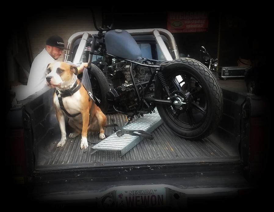 Cafe racer Bobber Custom Budowa motocykli