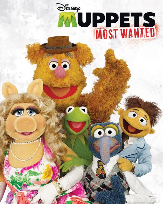 Muppety Most Wanted Obsada - plakat 40x50 cm