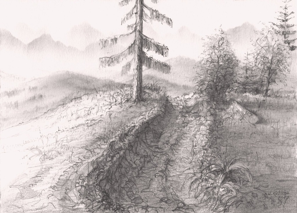 Rysunek ołówkiem pejzaż góry drzewo droga