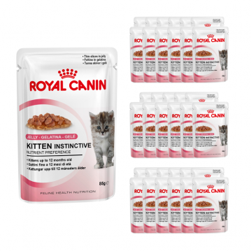 Royal Canin Kitten Instinctive w galaretce 36x 85g