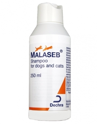 MALASEB szampon dla psów 250ml