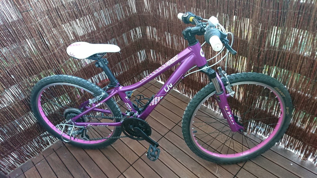 trek 2200 blue book