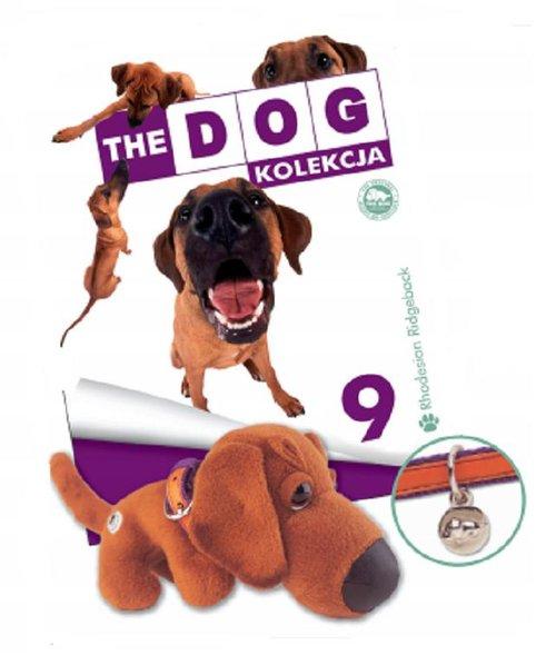 THE DOG Kolekcja 9 Rhodesian Ridgeback Dla dzieci
