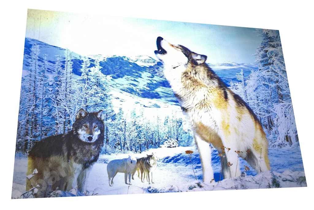 OBRAZY 3D OBRAZ DUŻY WILK WILKI ZIMA GÓRY 40 60
