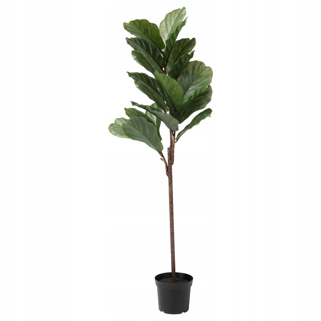 IKEA FEJKA Sztuczna roślina doniczkowa, ficus lyra