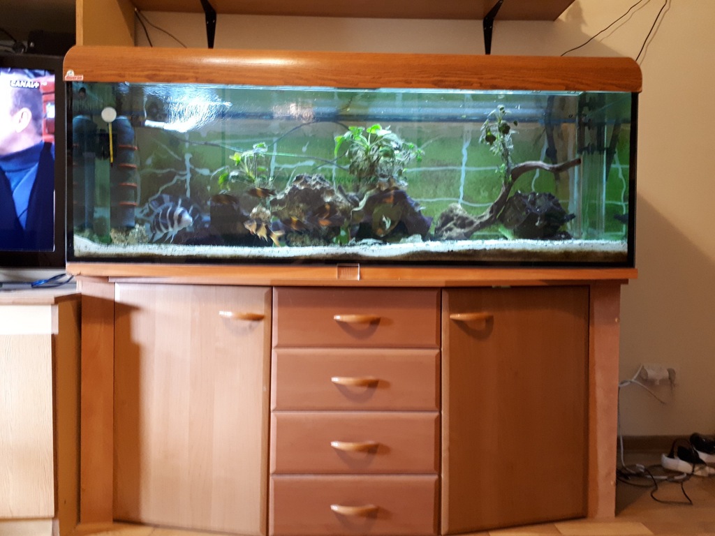 Akwarium 400l z szafką i rybkami