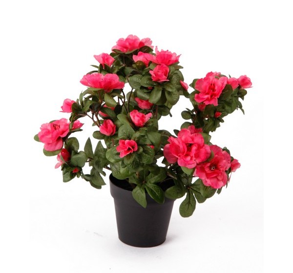 AZALIA w doniczce h28 cm azalie KWIATY SZTUCZNE
