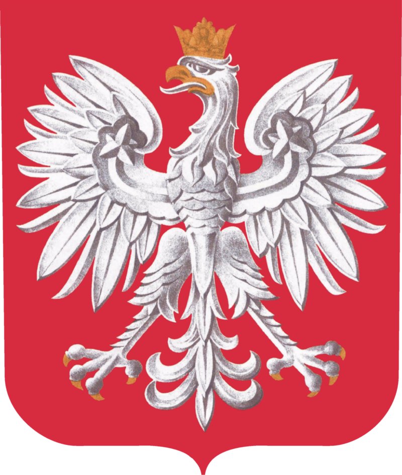 GODŁO POLSKI 40x50 W RAMIE DREWNIANEJ 9 KOLORÓW