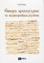 Аппозиционные группы в старопольском языке Петра Зброга