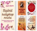 Буддийские истории. Медитация буддийского монаха.