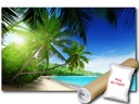 ФОТОобои ПЛЯЖ PALM 3A FXL 208x146 F736