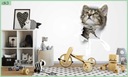 SAMOLEPKY NA STENU 3D pre deti mačiatko 45cm VZORY Téma Dekorácia Detská Zvierací motív