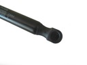 SPRING GAZOWA, COVERING BOOT MAGNETI MARELLI 430719010000 photo 10 - milautoparts-fr.ukrlive.com