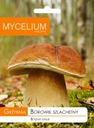 Podhubie Hríb Smrekový Producent Mycelium