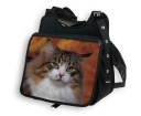 БОЛЬШАЯ СУМКА С КЛАПАНОМ A4 CAT 27 CAT ДЕТСКАЯ ШКОЛА PL