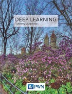 Deep Learning. Współczesne rozwiązania dla systemów uczących się