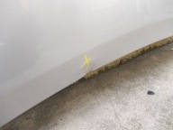 TOYOTA AURIS et 06- 2006 Capot