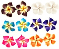 Sada náušníc 6 párov havajských kvetov summer
