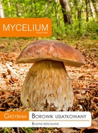 BOROWIK USIATKOWANY grzybnia grzyby leśne Mycelium