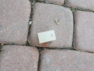 button switch kremowy Insignia 13281639