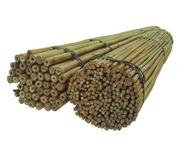 BAMBUSOVÁ TYČINKA 120 cm 20/22 mm /10 ks, bambus