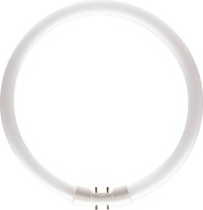 Kruhová žiarivka Philips Master TL5 Circular 40 W 2GX13