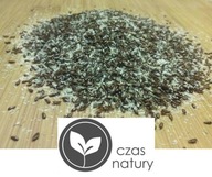 BŁONNIK WITALNY PŁESZNIK JAJOWATA 1 KG POLSKA