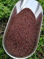 Babka PŁESZNIK 1 kg Błonnik Jelita Oczyszczenie