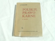 POLSKIE PRAWO KARNE W ZARYSIE - I.ANDREJEW