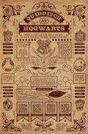 Harry Potter QuidDitch - Filmový plagát 61x91,5 cm
