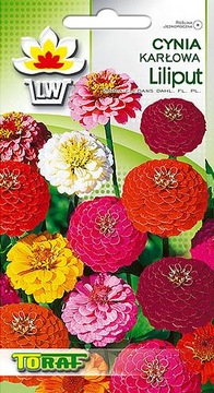 DWARF ZINNIA LILIPUT MIX – РАЙ ДЛЯ БАБОЧЕК