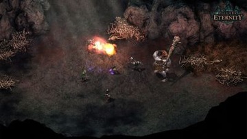 PILLARS OF ETERNITY HERO EDITION STEAM + БЕСПЛАТНО