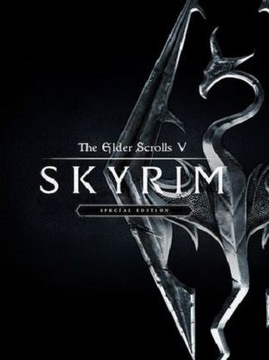 The Elder Scrolls Skyrim, специальное издание