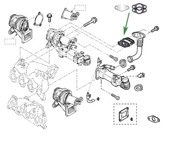 Заглушка EGR RENAULT Megane Scenic 1.9 dCi