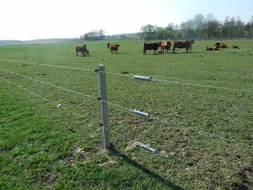 ПРУЖИНА НАТЯЖЕНИЯ PASTUCH, ОЦИНКОВАННАЯ ПРОВОЛОКОЙ 2,5 ММ