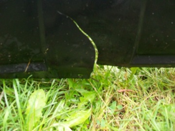 фото thumb №5, Nissan qashqai i 06-14 бампер задняя pdc nr1