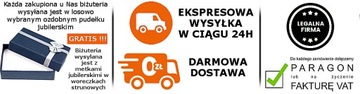 Srebrny Łańcuszek ROLO 100 cm Wysyłka Opakowanie