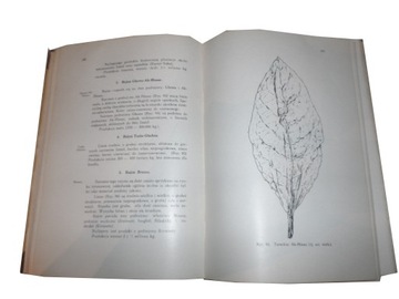 Табачное товароведение Польская табачная монополия в 1929 г.