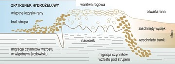 НАБОР Медицинской сумки ICEMIX AQUAGEL