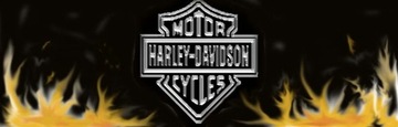 Кожаная куртка HARLEY DAVIDSON Super DEAL - размер XS