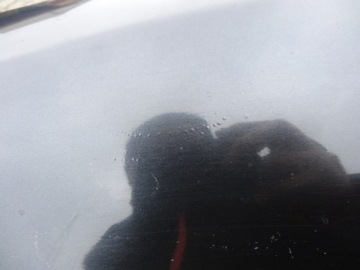 фото thumb №11, Audi a8 d2 99-02 крыло перед левый правый lz9w доставка