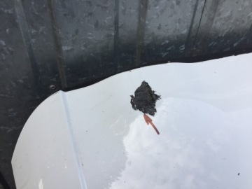 фото thumb №3, Citroen c4 picasso кришка багажника кришка багажника 2013-