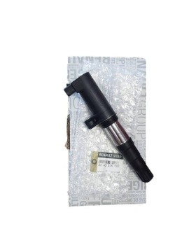 катушка зажигание renault oe 2243 335 29R