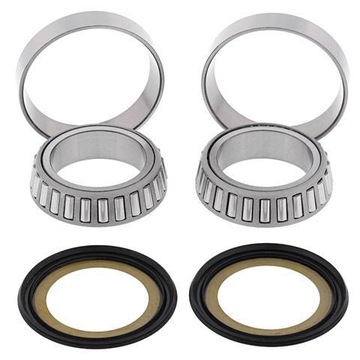 Bearing heads hulls aprilia rsv mille tuono 1000, фото
